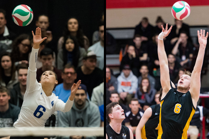 CCAA Volleyball Wildcards for 2018