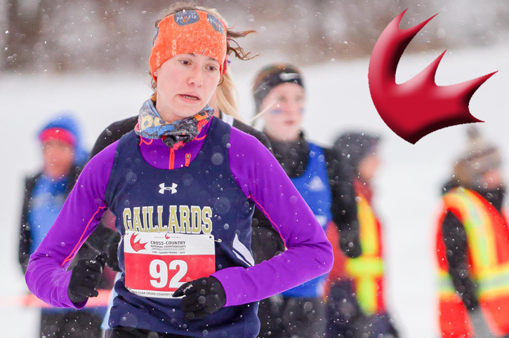 RSEQ cégeps to co-host Cross-Country Running Nationals